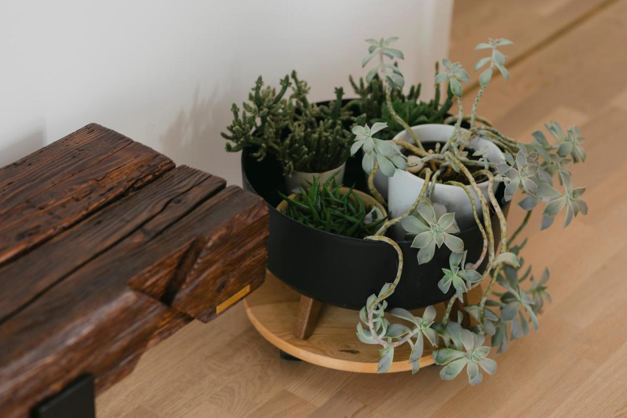 The Forest - Luxe Central Apt With Free Secured Parking Braşov Esterno foto